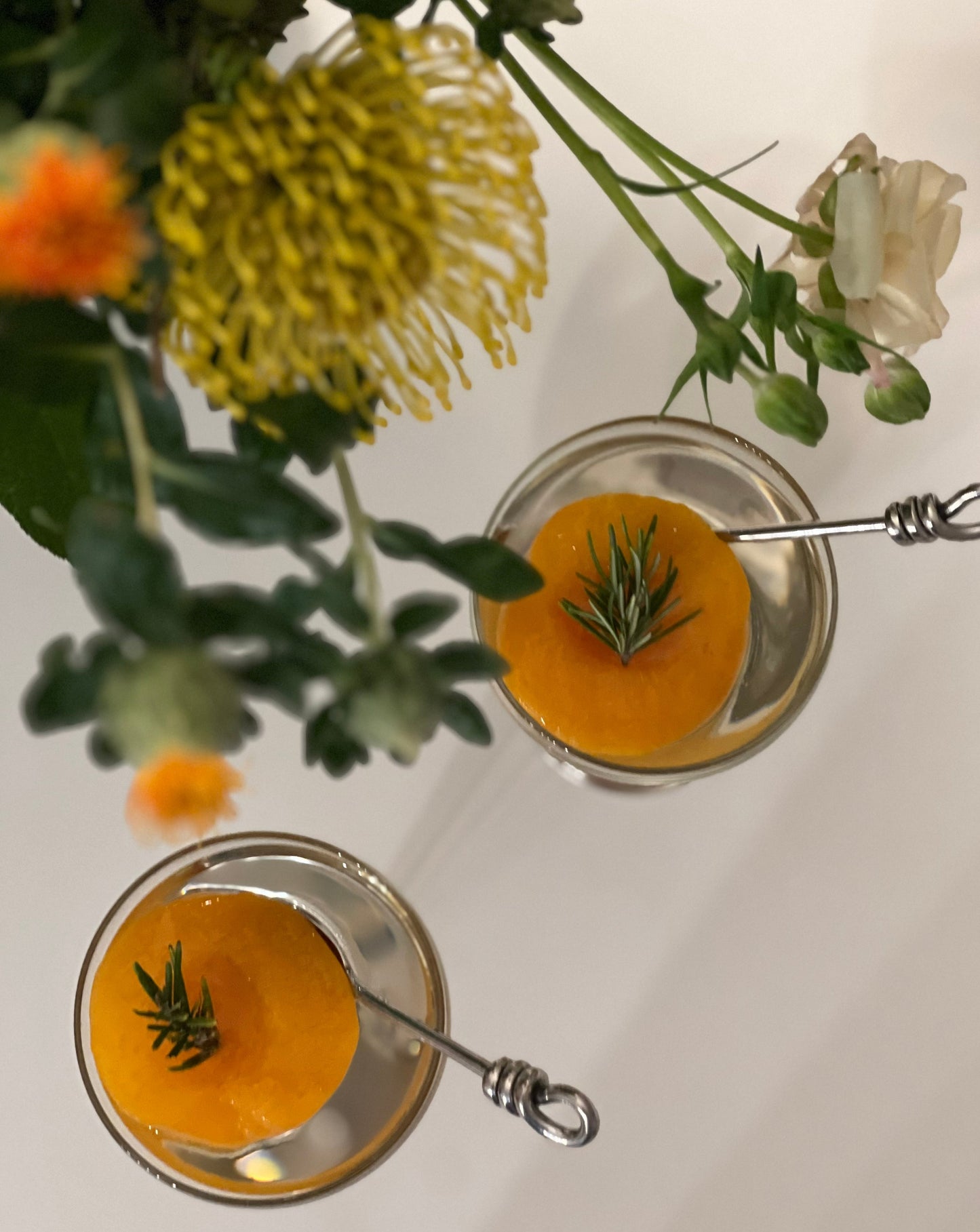 Cocktail Glass